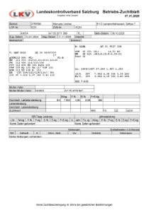 trchtige Fleckvieh Kalbin zu verkaufen, beweidet und ruhig